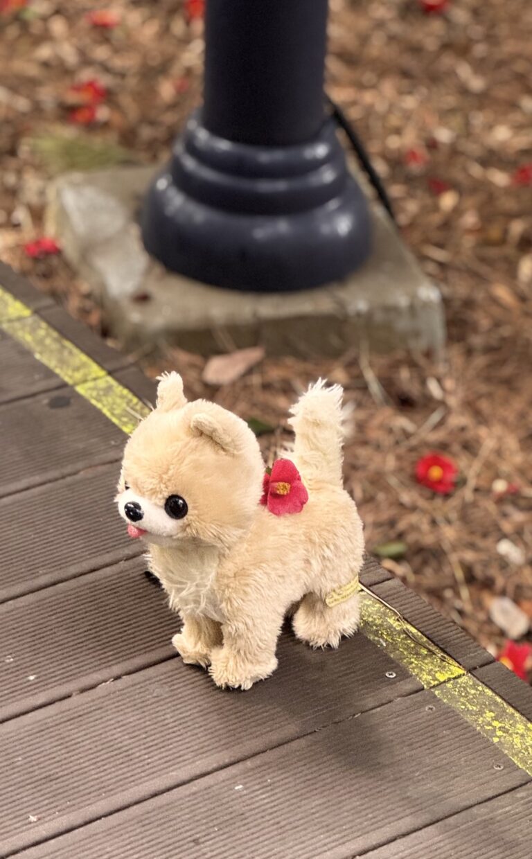오늘은 오동도
