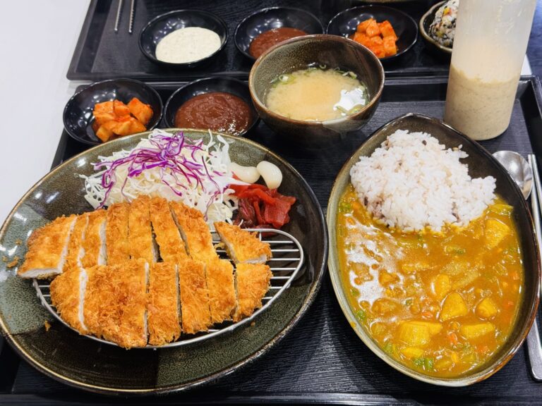 카레돈가스의 여정